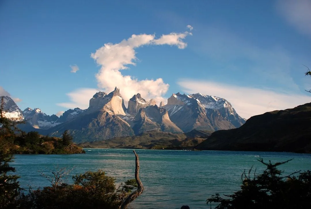 New Zealand: The Great Walks Book Out in Minutes