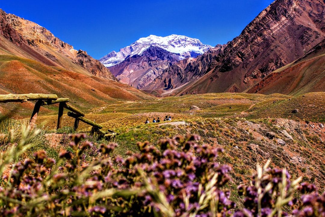 Patagonia: The Wind Is the Defining Condition